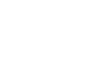Logo VU